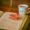Ryan_Reads - @ryan_reads95 - TikTok