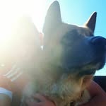 @ryan.readman - Instagram