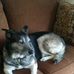 Ryan Reasoner - Facebook