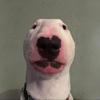 Ryan Reasoner - @ryanreas11 - TikTok