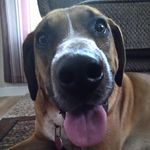 Ryan Redmon - @tbbuccs6988 - Instagram