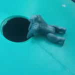 Ryan - @_ryanreel09 - Instagram