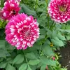 Ryan Reel Fashion - @ryan.reel.fashion - TikTok