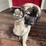 Ryan Reinsch - @ryanreinsch - Instagram
