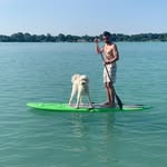 Ryan Renault - @ryanrenault - Instagram