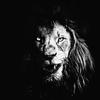 Ryan Renfrow - @ryan.renfrow - TikTok
