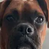 Ryan Rhodes - @ryan_rhodes12 - TikTok