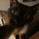 Ryan Rice - @ryan__rice - Instagram