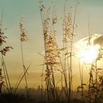 Ryan Richer - @richer7918 - Instagram