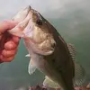 Ryan Ricketson - @ryan.ricketson19 - TikTok