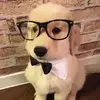 rickety ryan - @rickey.ryan - TikTok