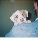 Ryan Riegel - @ryan.riegel - Instagram