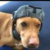 Ryan Rigdon - @ryan_rigdon - TikTok