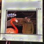 Ryan Rigney - @the_ryan_rigney - Instagram