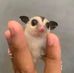 Rian Ripky - Facebook