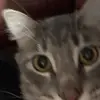 Ryan - @ryanfrisinger - TikTok