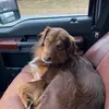 ryanrisko2 - @ryanrisko2 - TikTok