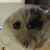 Ryan Ritz - @ryan.ritz7 - TikTok