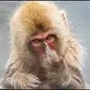 ryanritzdani5 - @ryanritzdani5 - TikTok