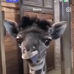 Ryan Rivera - @ryanrivera180 - Instagram