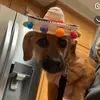 ryan - @ryan_riveraa - TikTok