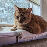 Ryan Robillard - @ryan.robillard - Instagram