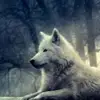 Ryan Robillard - @ryan.robillard8 - TikTok