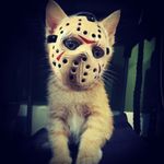 Ryan Robillard - @ryan.robillard.96 - Instagram