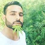 Ryan Rocca - @ryrock22 - Instagram