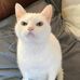 Ryan Rogers - Facebook