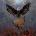 Ryan Rollyson - Facebook