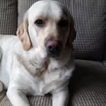 ryan rosser - @ryan_rosser_x - Instagram