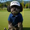 Bryan Rothstein - @bryanrothstein - TikTok