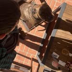 Ryan Rothwell - @ryanrothwell1 - Instagram