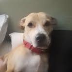 Ryan Ruby - Facebook