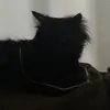 ryanrue13 - @ryanrue13 - TikTok