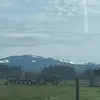 ryanruel4tn - @ry13964 - TikTok