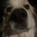 Ryan Ruffi - Facebook