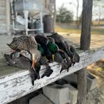 Ryan - @ryan_ruff_ - Instagram