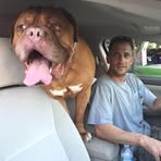 Ryan Rumfelt - Facebook