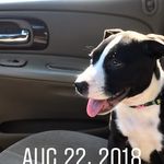 Ryan Rusch - @rwrusch87 - Instagram