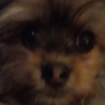 Ryan rushing - @ryanrush16 - Instagram