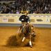 Ryan Rushing Performance Horses - Facebook