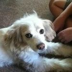 Ryan Rutt - @ryanrutt - Instagram