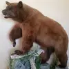 ryan rymer - @ryan.rymer - TikTok