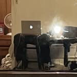 @ryansabotage - Instagram