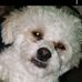 Ryan Sabourin - Facebook