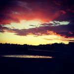 A FRICKING IDIOT IDK - @ryan_james_sachs - Instagram