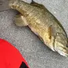 Ryan Sadowski - @ryan.sadowski - TikTok