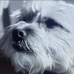 Ryan Saenz - @ryguy030790 - Instagram